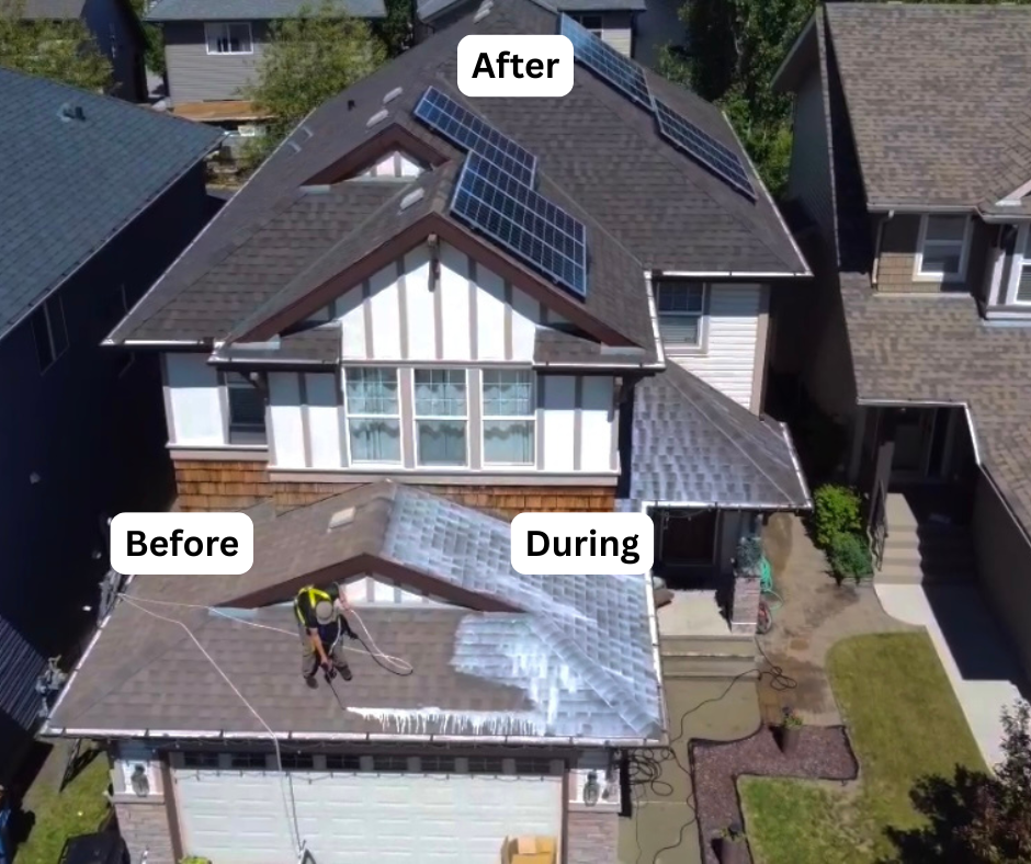 Before, during, and after rejuvenation on a North Bay home — example 2